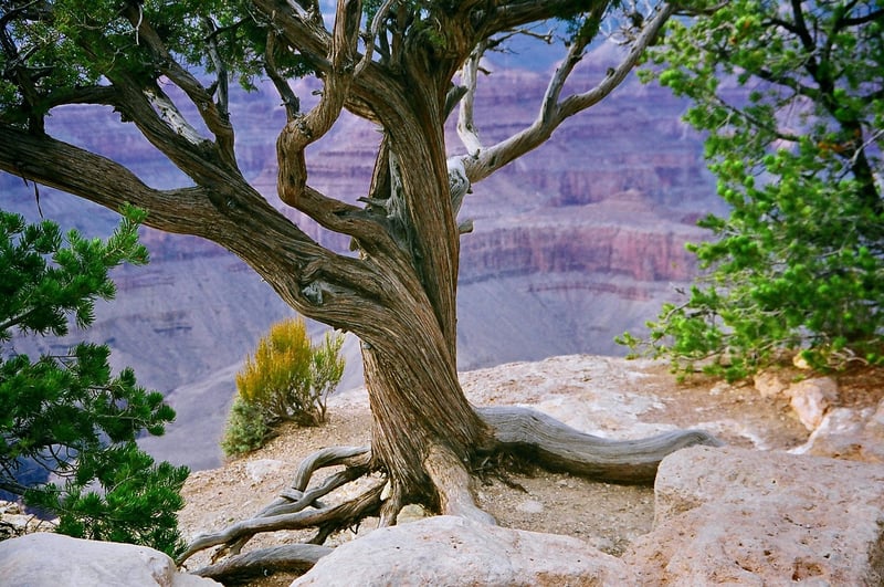 Grand Canyon Rim-to-Rim, USA